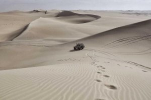 Image of Ultra Carpet Cleaning Services