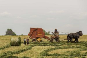 Image of Orange County Kwik Dry Total Cleaning