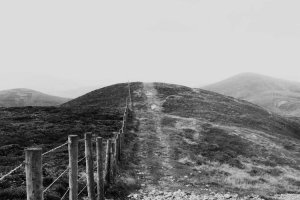 Image of 4 Elements Carpet Cleaning & Services