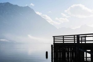 Image of Cole Services