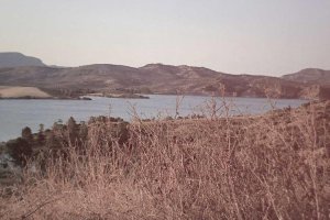 Image of Steam Brothers Carpet Cleaning And More