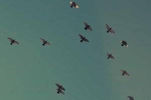 Image of RK Plumbing Heating Air Conditioning