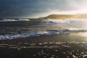 Image of Go Carpet Care