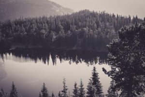 Image of Night Owl Plumbing & Rooter