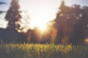 Image of Santa Ana Plumbers