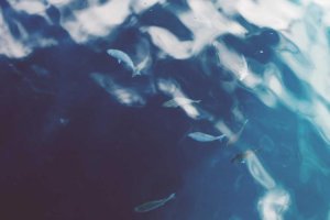 Image of LiMar Painting and Design