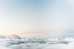 Image of OC Curb Painting