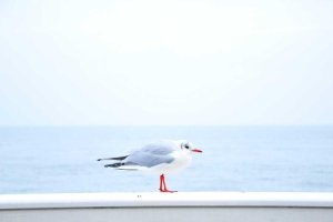 Image of Tex Painting