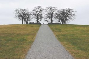 Image of Tex Painting