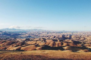 Image of Liberty Painting