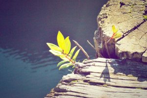 Image of CertaPro Painters