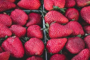 Image of Spring Texas Painters