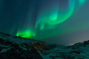 Image of Spring Texas Painters