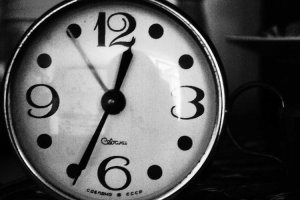 Image of Florida Painters