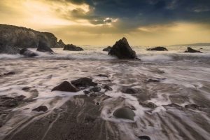 Image of Omar painting services LLC