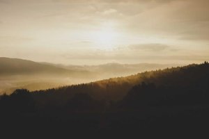 Image of Jose's Painting Services