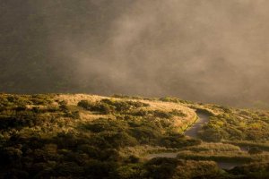 Image of Jose's Painting Services