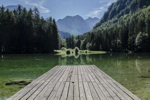 Image of Collier Florida Painting