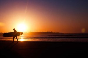 Image of FLAMINGO PAINTING