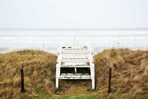 Image of Pintores De Casas En Miami