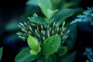 Image of Florida Painting LLC