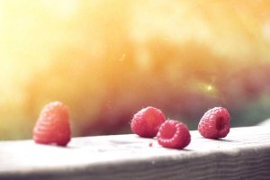 Image of Florida Painting And Design