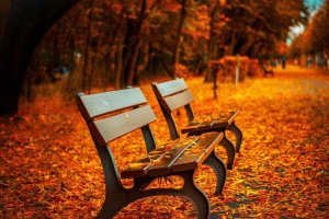 Image of Master Wash Inc Mobile FleetWash