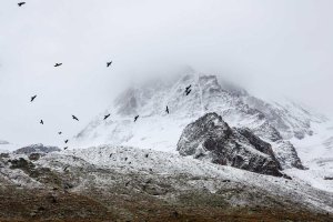 Image of High Detail Cleaning Service