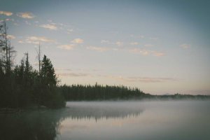 Image of Do it all power washing