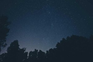 Image of Clear Image Pressure Washing