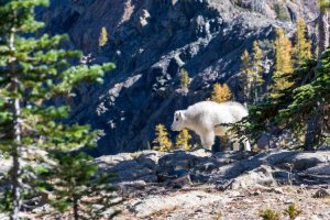 Image of Newport Pressure Washing