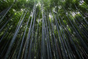 Image of SmartEdge Hydro Jetting's Group Exp.