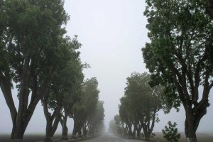 Image of Kingdom Power Clean