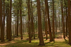 Image of Cali Power Wash