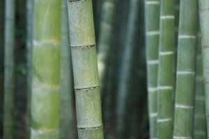 Image of Supreme Power Wash