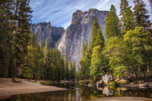 Image of Tru Green Long Beach