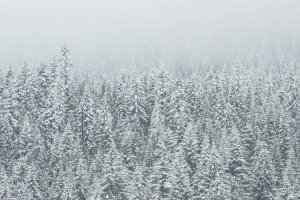 Image of Filth-Ease Power Washing, Gutter Cleaning, and Window Cleaning Inc