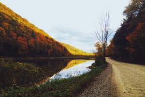 Image of Bay Area Exterior Cleaning