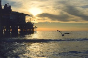 Image of Grassland Landscape and Lawncare