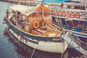 Image of Grassland Landscape and Lawncare