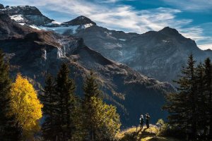 Image of Carson Roofing Repair Pros