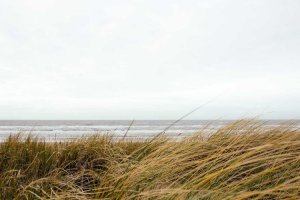 Image of Long Beach Roof Co