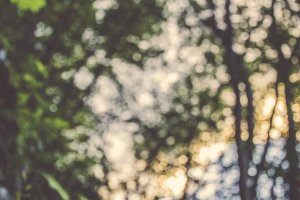 Image of Swell Roofing Inc