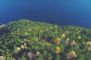 Image of Long Beach Roofing Professionals