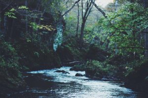 Image of Local Roofing Company