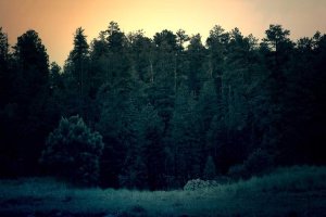 Image of EverPeak Roofing Solutions