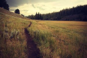 Image of EverPeak Roofing Solutions