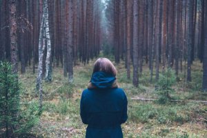 Image of BNF Roofing