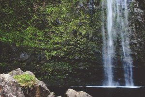 Image of Reliable Landscape Service