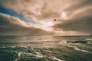 Image of The Roof Doctor